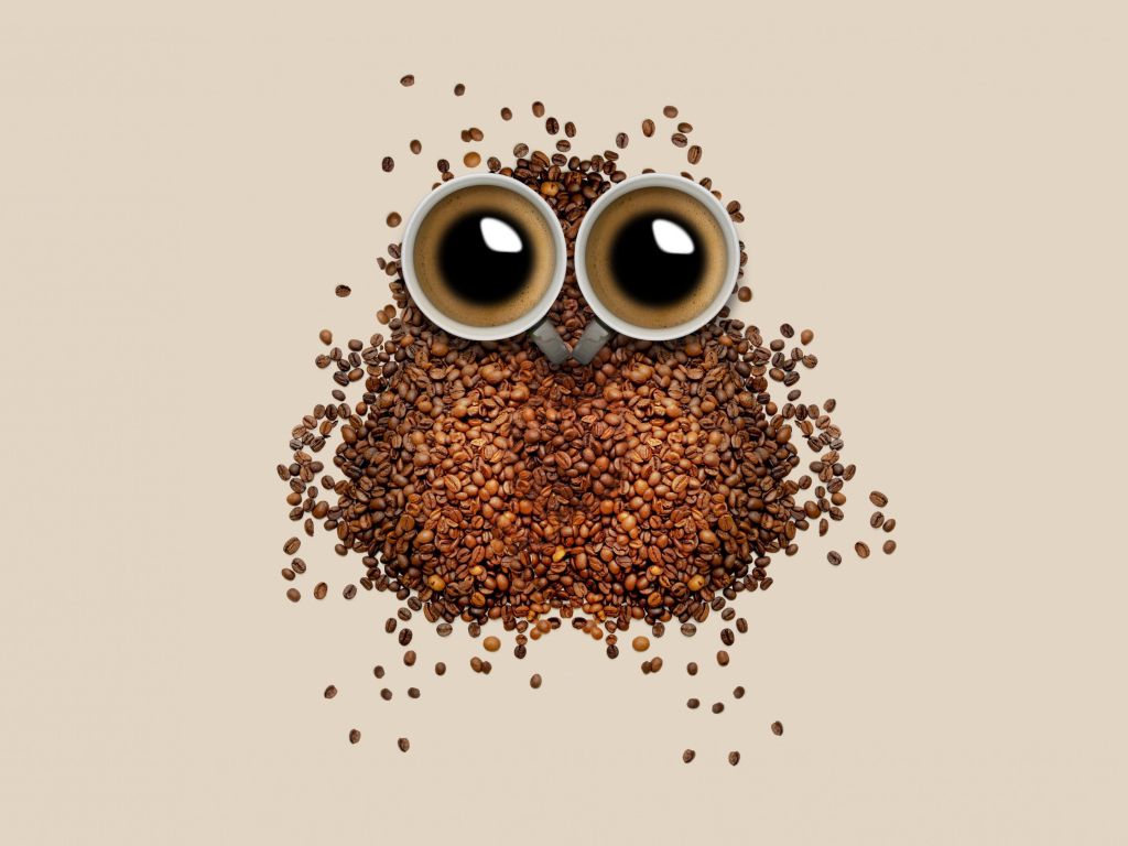 Coffee Owl wallpaper