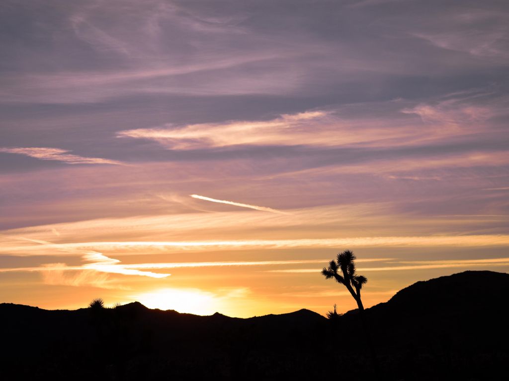Colorful Desert Sunset wallpaper
