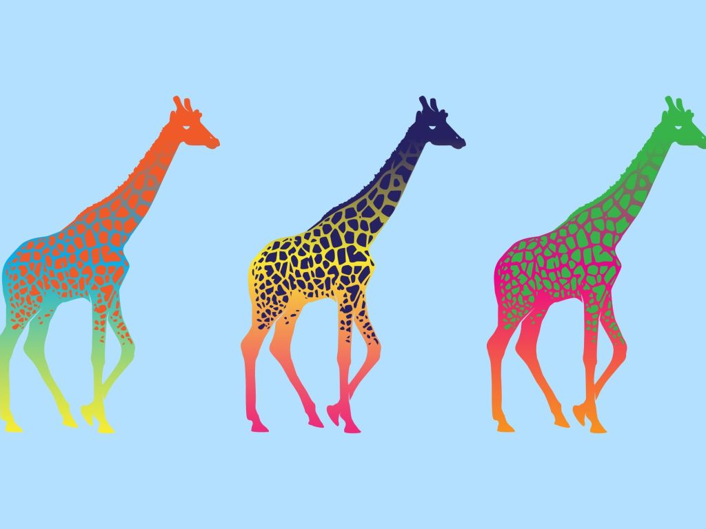Colorful Giraffes wallpaper