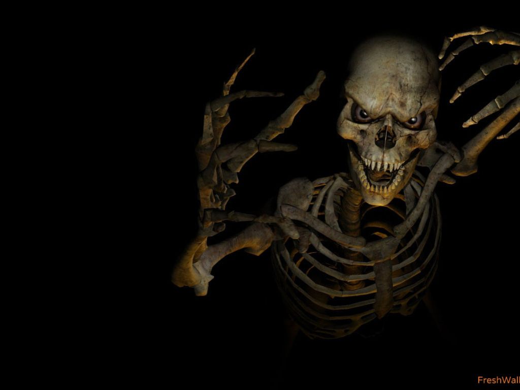skeleton 4K wallpapers for your desktop