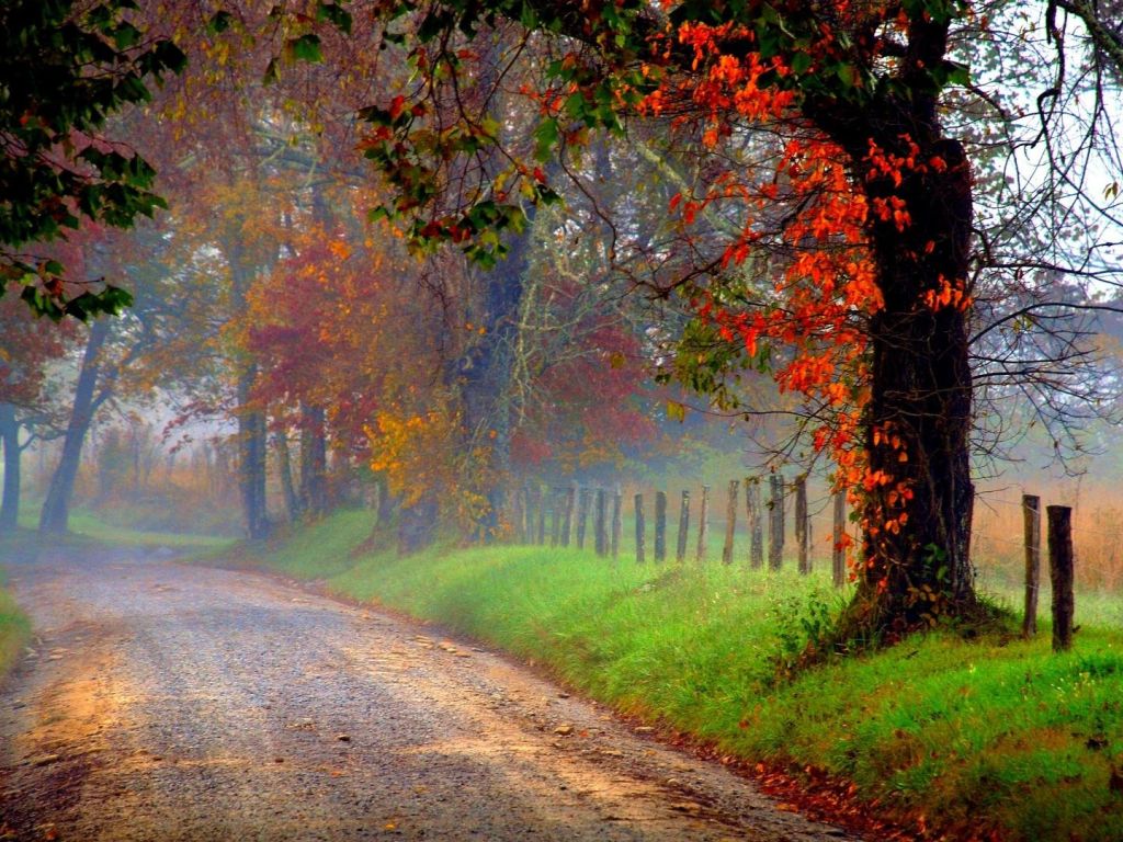 Country Road In Morning Fog Hd wallpaper