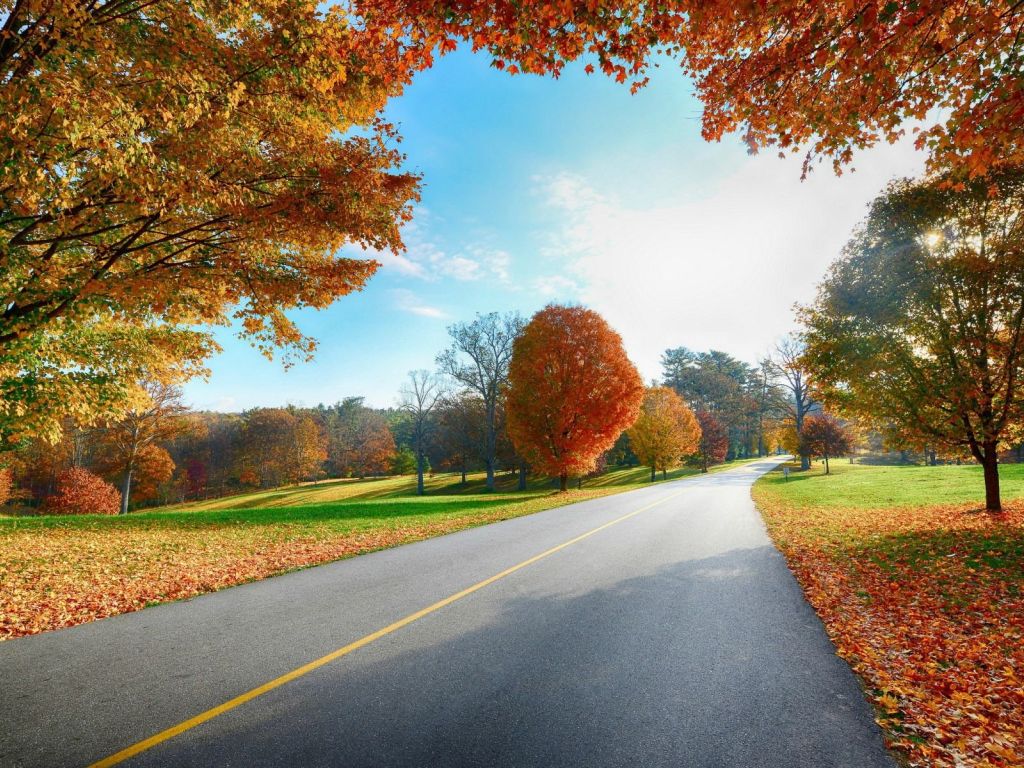 Country Road in The Fall wallpaper