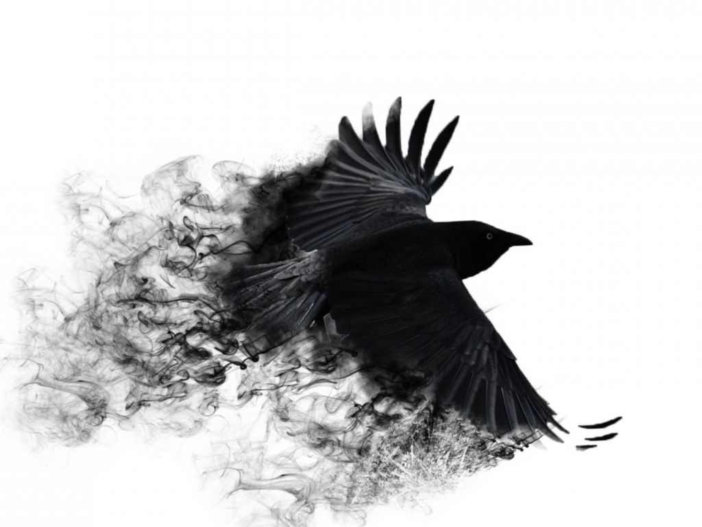 Crow Wings wallpaper
