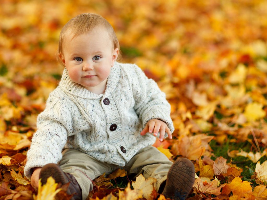 Cute Baby Boy Autumn Leaves wallpaper