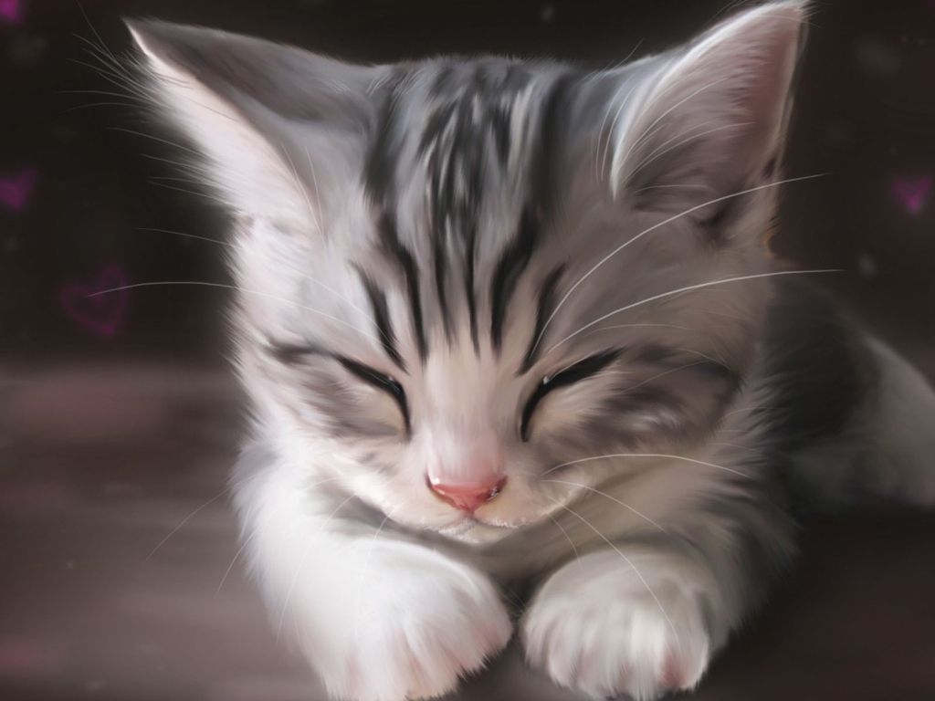 Cute Cat Sleeping wallpaper