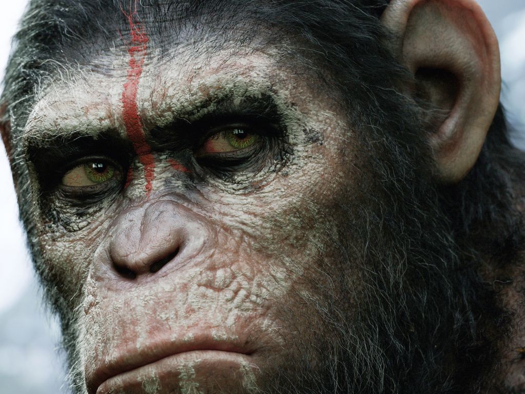 Dawn of the Planet of the Apes 2014 wallpaper