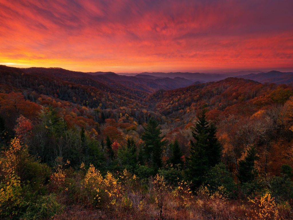Deep Creek Overlook Great Smoky Mountains National Park wallpaper