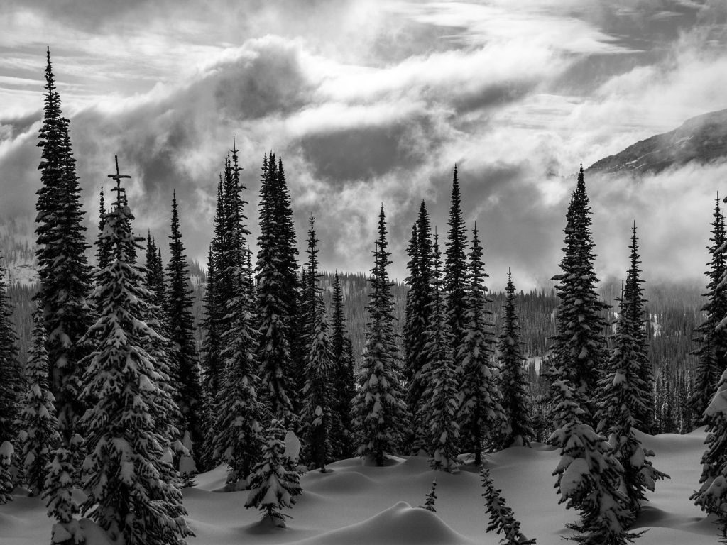 Deep in the Stormy Monashees of BC 29976 wallpaper
