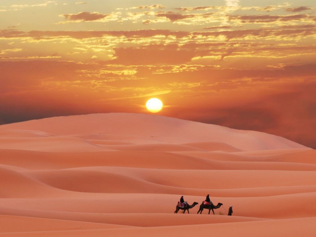 Desert Sunset Nature wallpaper