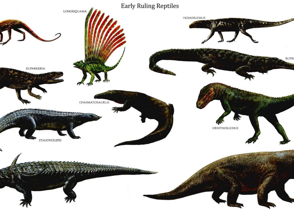 Dinosaurs Reptiles wallpaper