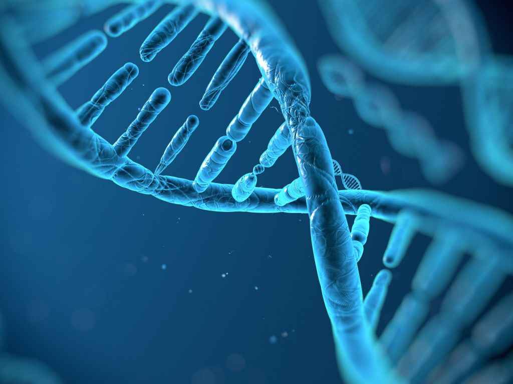 DNA Structure wallpaper