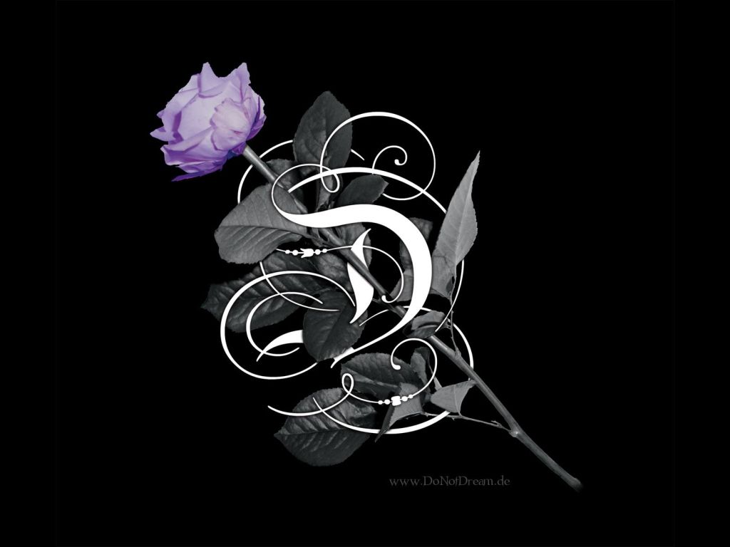 Do Not Dream Withered Rose wallpaper