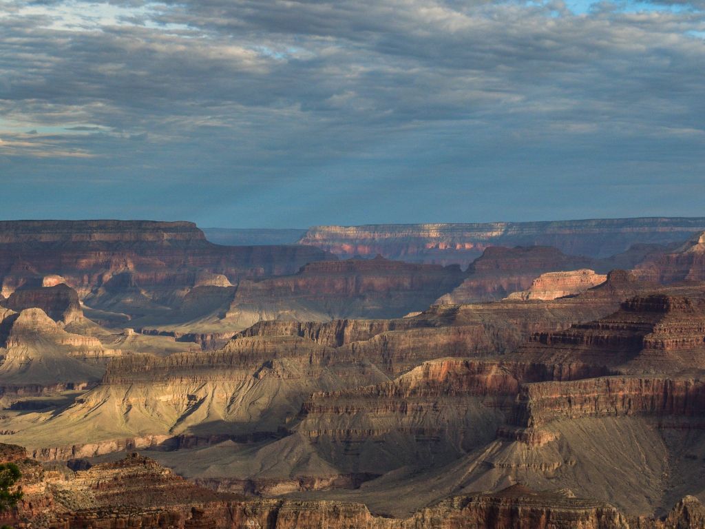 Early Morning at the Grand Canyon wallpaper