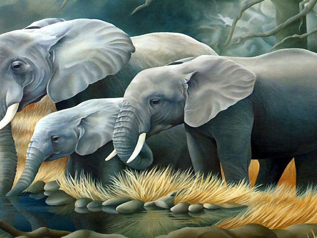Elephant wallpaper