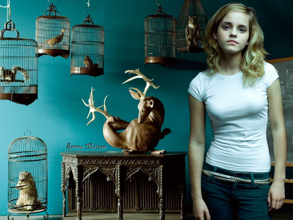 Emma Watson HD Widescreen wallpaper
