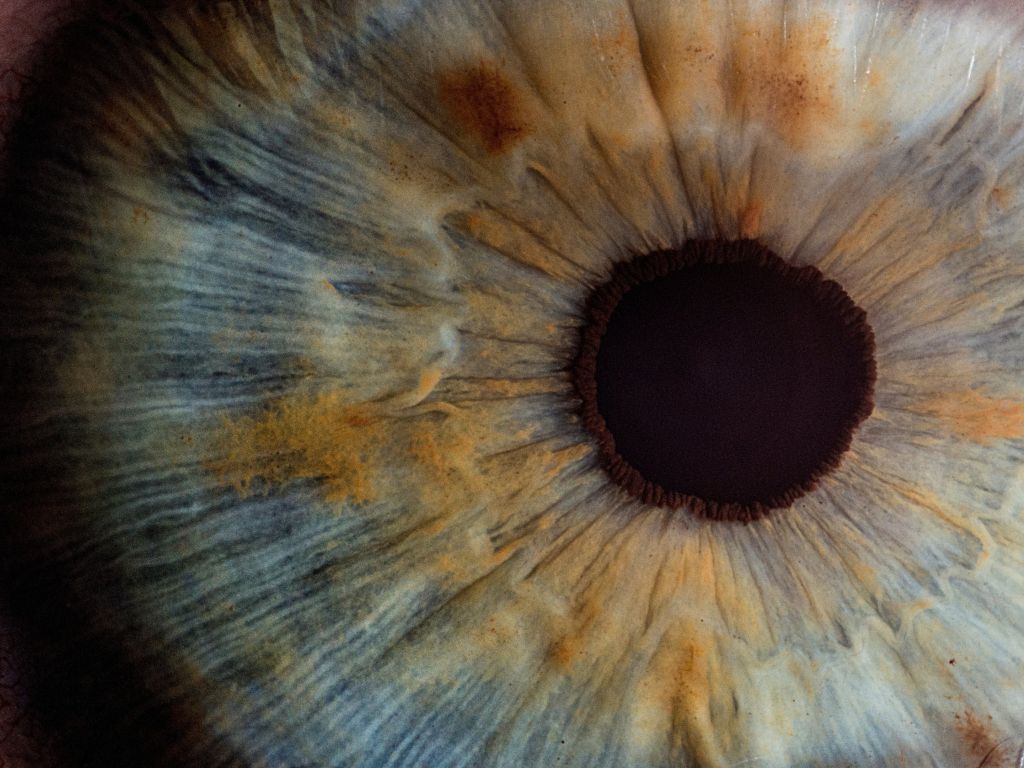 Eye Pupil Close-up wallpaper