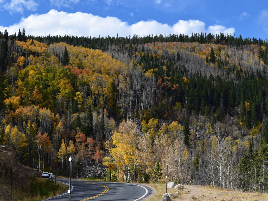 Fall Colors in RMNP Colorado wallpaper