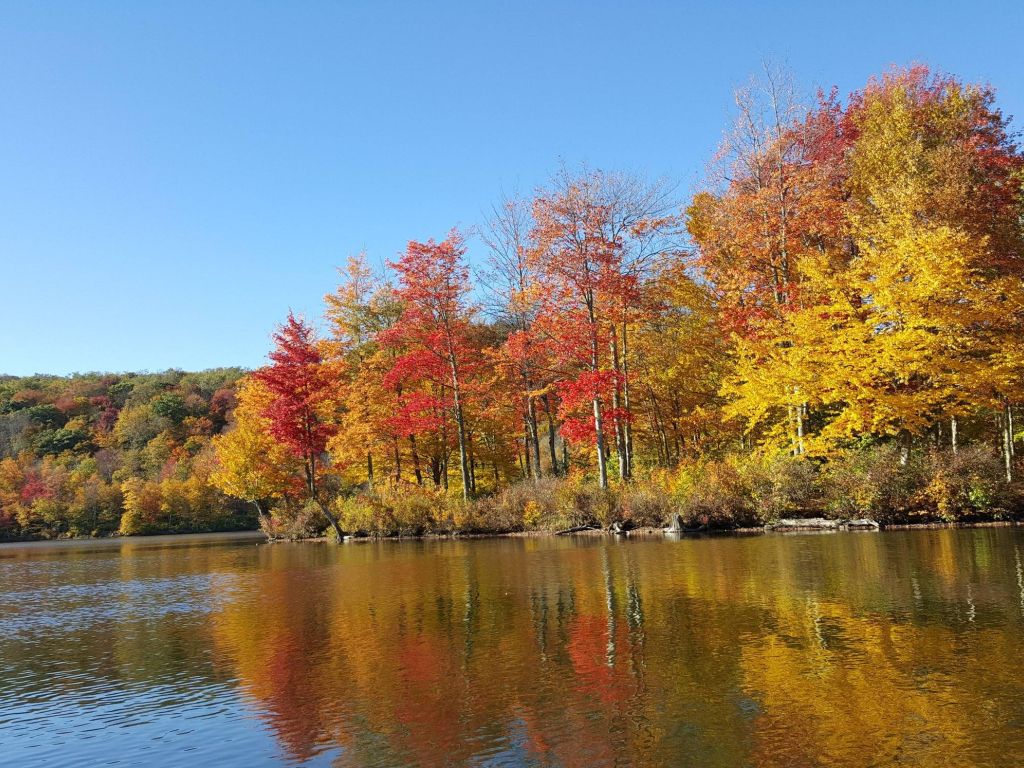 Fall Foliage on the Lake Upstate New York by Dwells wallpaper