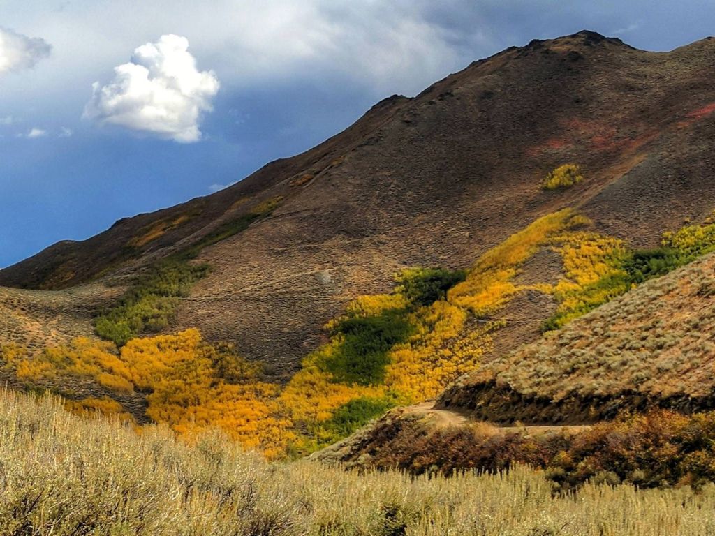 Fall Has Arrived in Colorado Gulch wallpaper