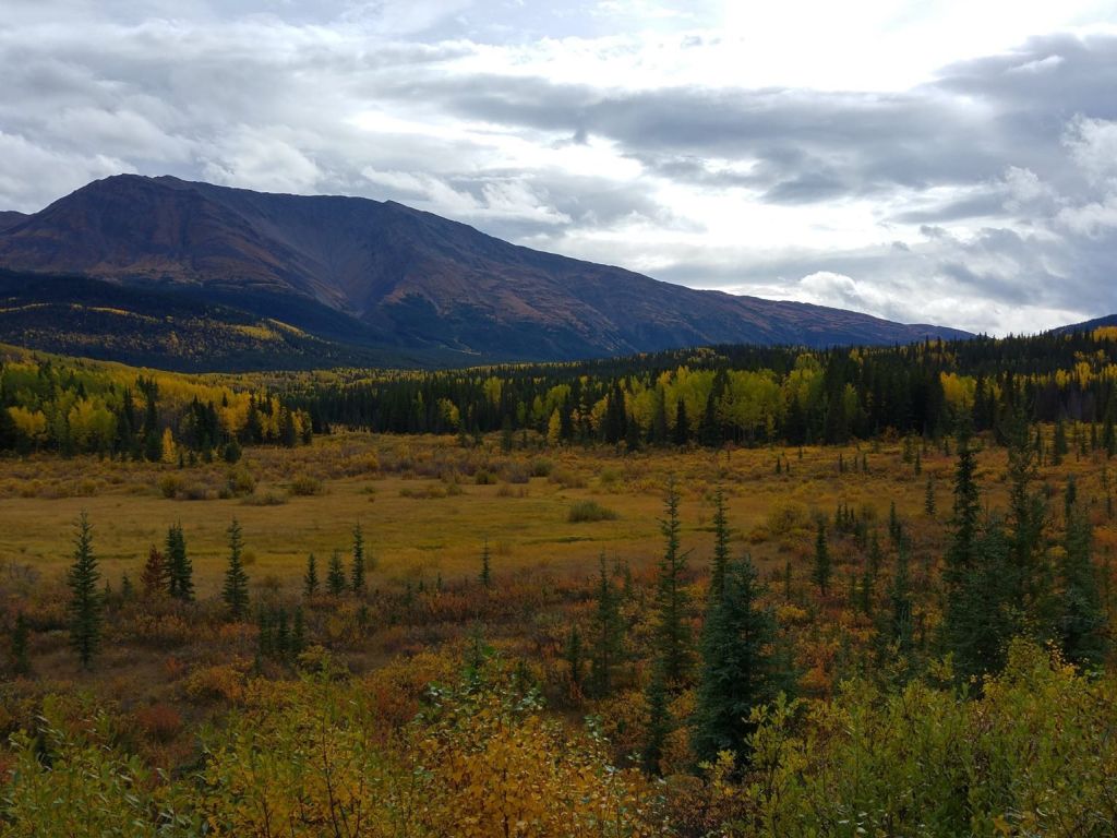 Fall in Love With the Autumn Colours of Northern British Columbia wallpaper