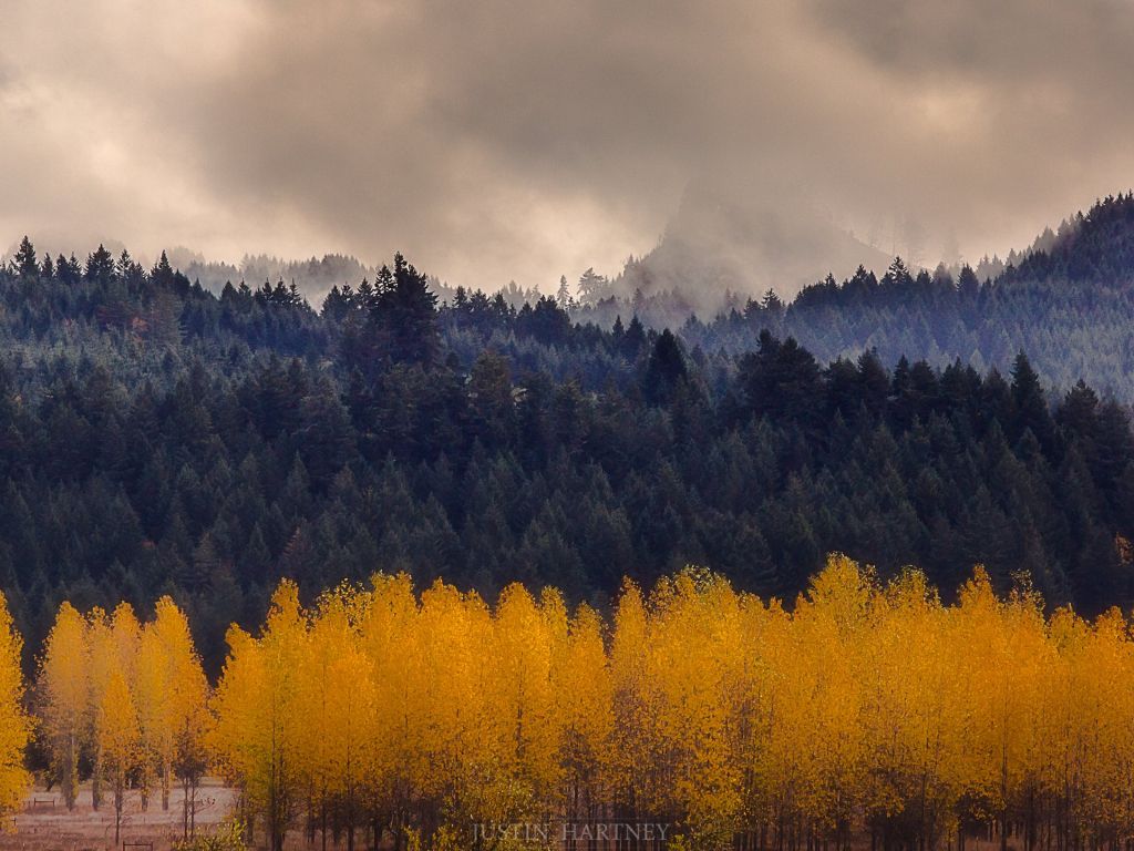 Fall in the Pacific Northwest - Lorane Oregon wallpaper