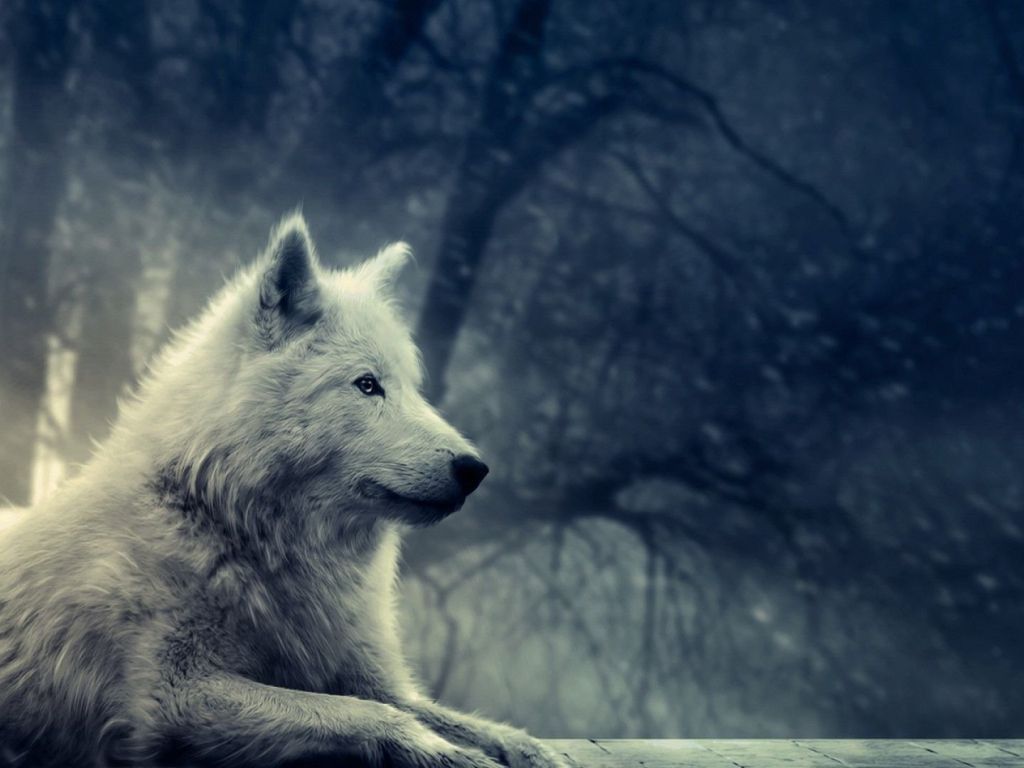 Fantasy Pic of Wolf wallpaper