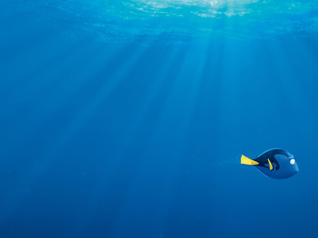 Finding Dory Movie wallpaper