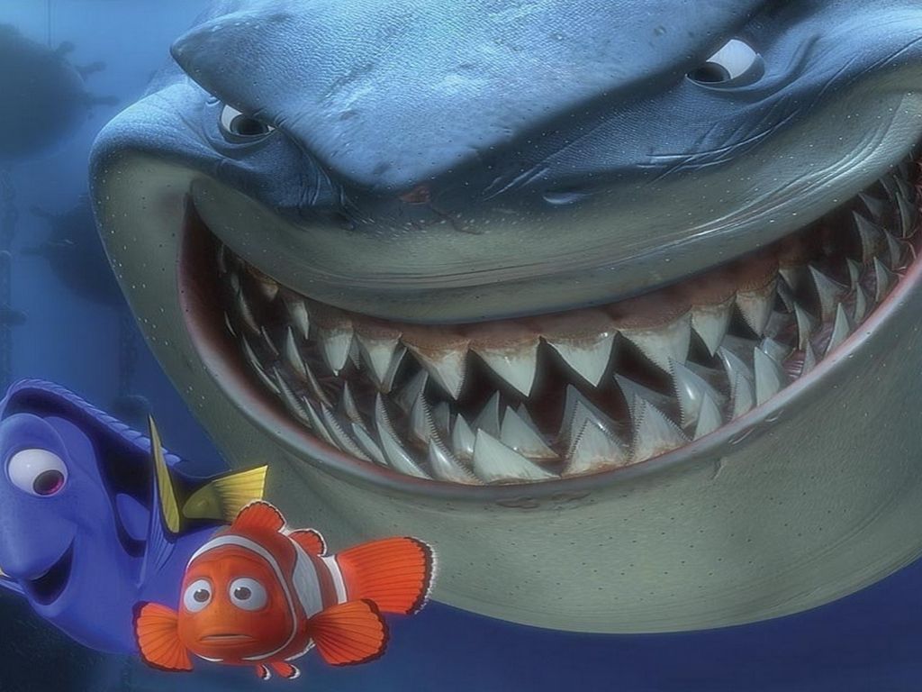 Finding Nemo Shark wallpaper