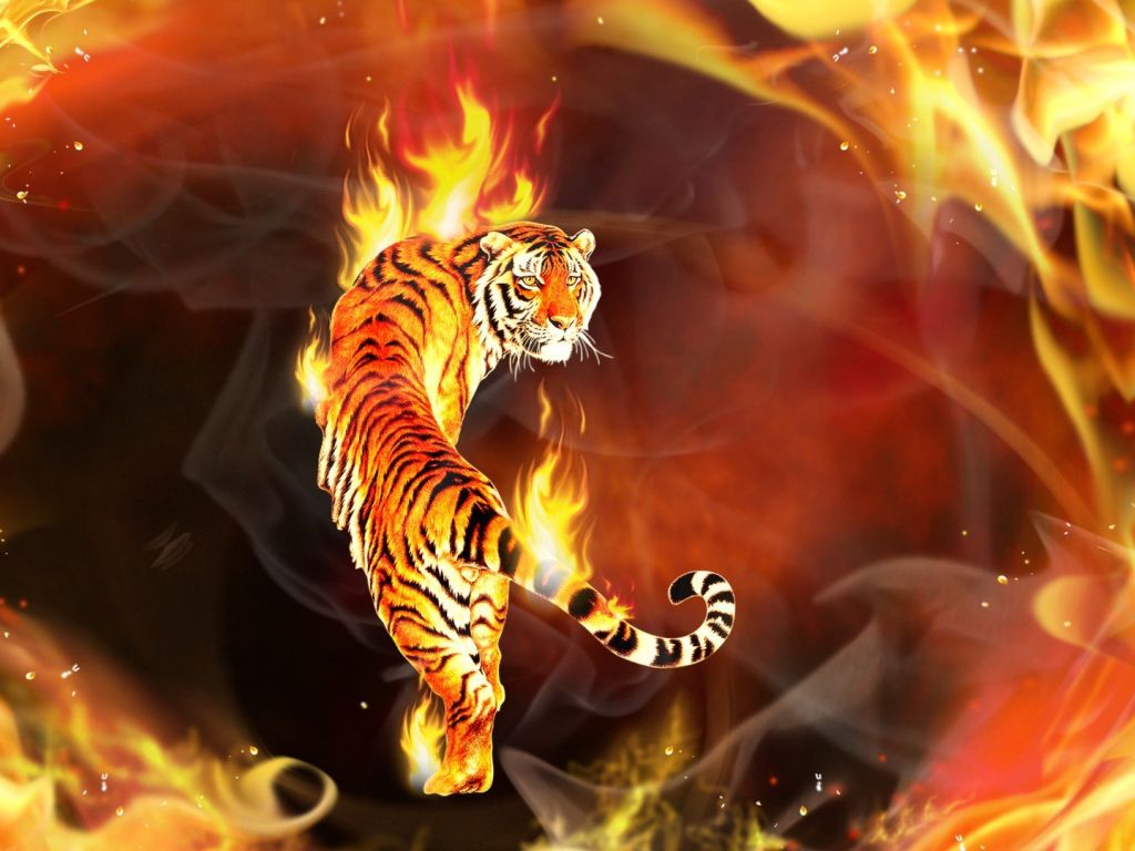 Fire Tiger wallpaper