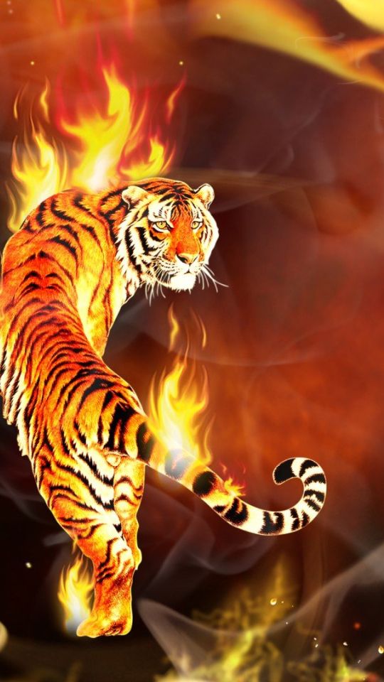 Fire Tiger wallpaper in 540x960 resolution