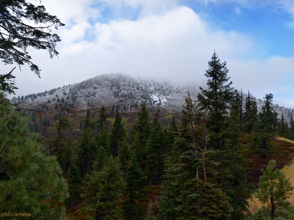 First Dusting of Snow in the Sierra Yesterday North of Lake Tahoe Near Mt Rose wallpaper