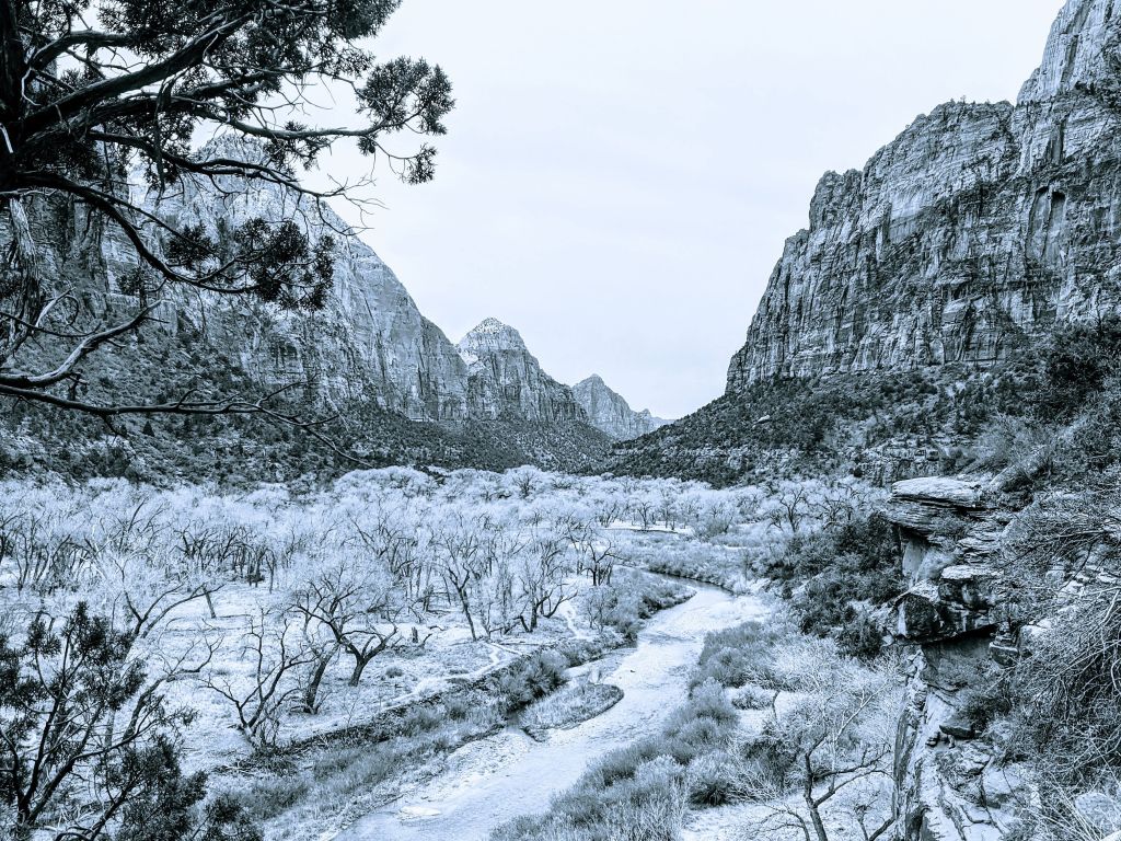 First Post of Scenic View at Zion National Park wallpaper