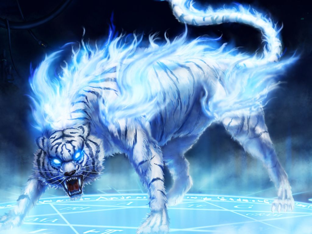 Flames Ice Tigers Artwork Blue Background HD wallpaper