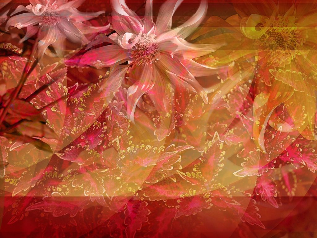 Floral Abstract 7803 wallpaper