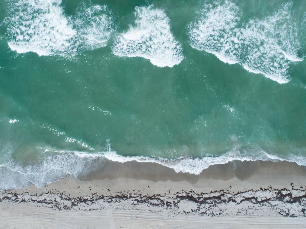 Florida Beach From Above wallpaper