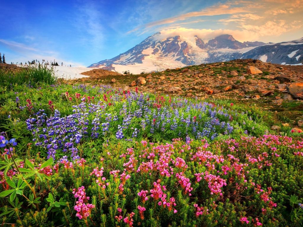 Flowers With Mountain Landscape wallpaper
