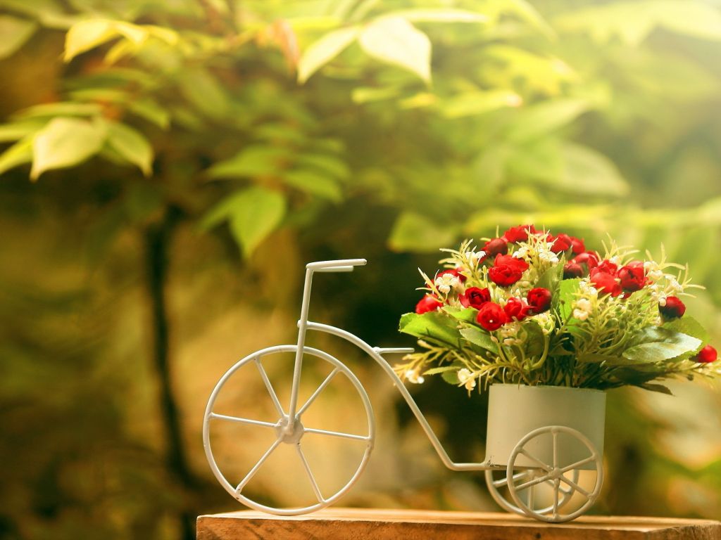 Flowers on Bicycle wallpaper