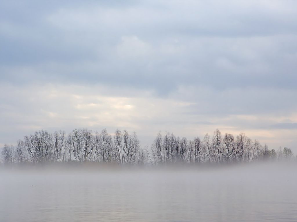 Fog Over Lake View wallpaper