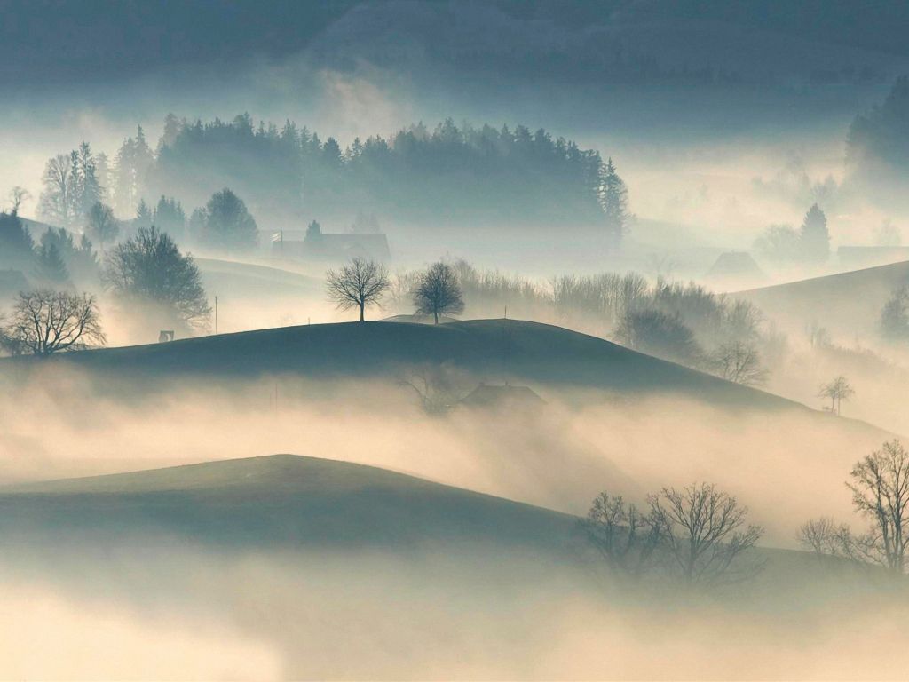 Foggy Landscape wallpaper