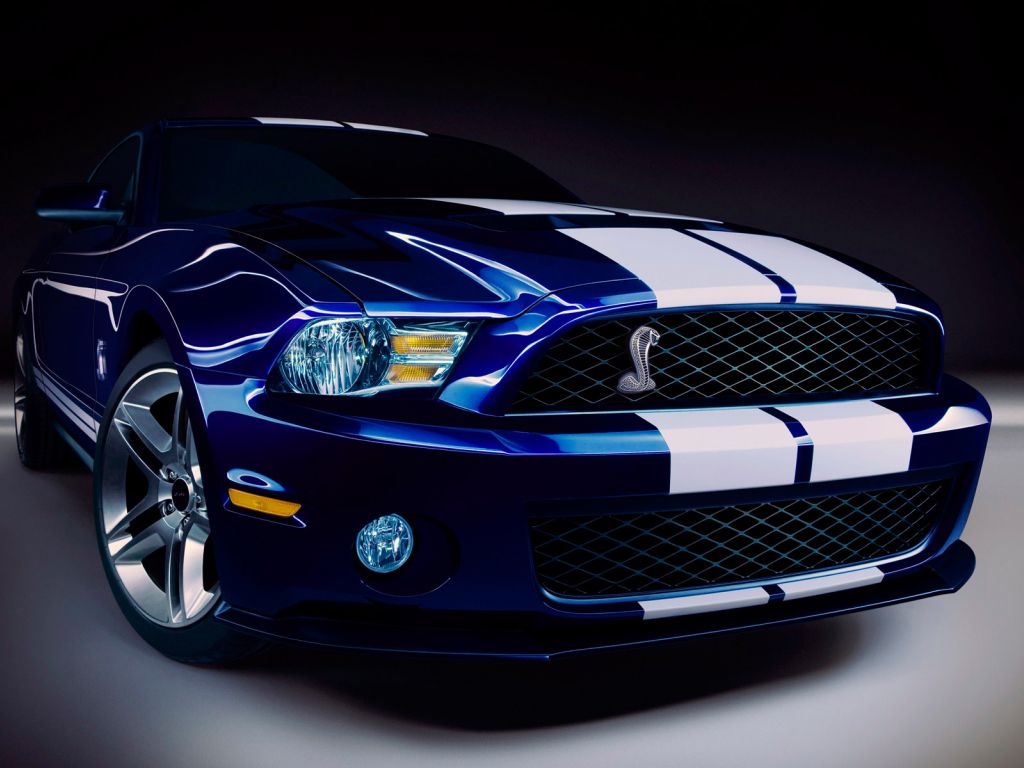 Ford Shelby GT500 24669 wallpaper