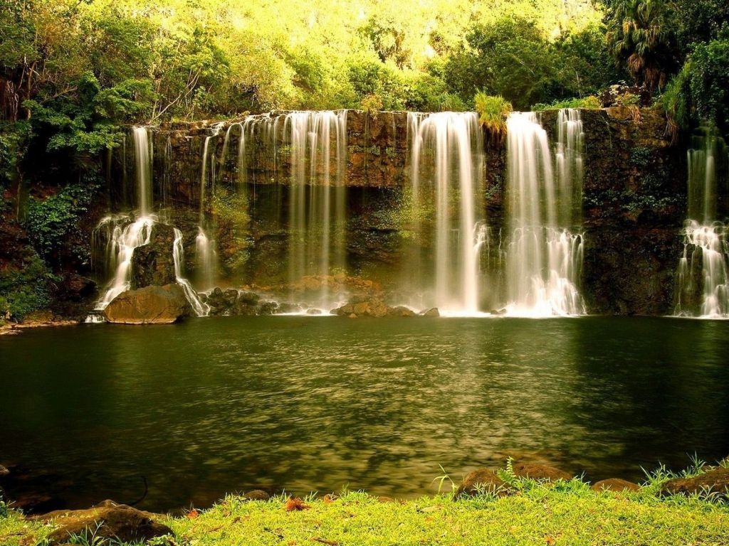 Forest River Waterfalls wallpaper
