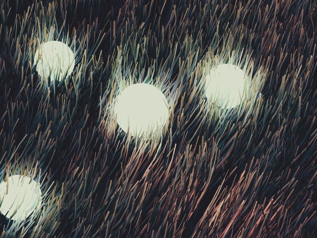 Four Orbs in the Grass wallpaper