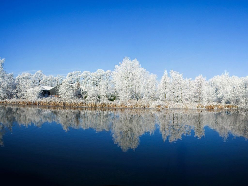 Frosty Trees Reflected in The Lake wallpaper