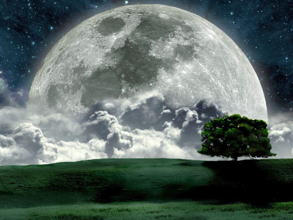 Full Moon in Night HD wallpaper