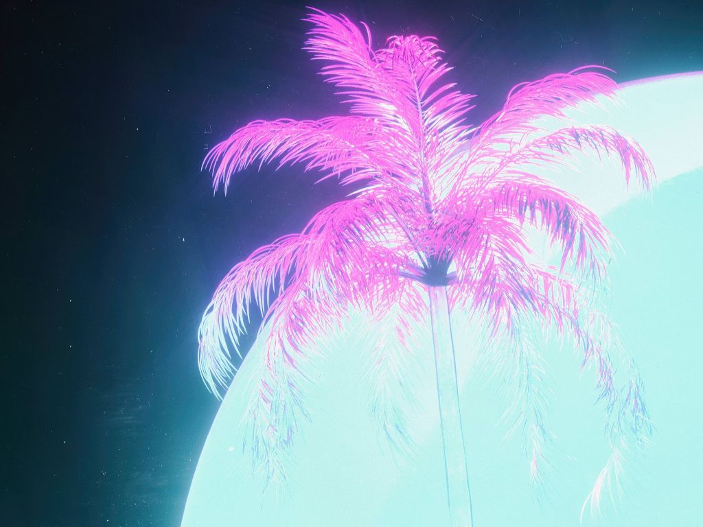 Fvck Palm Trees This One Shines wallpaper