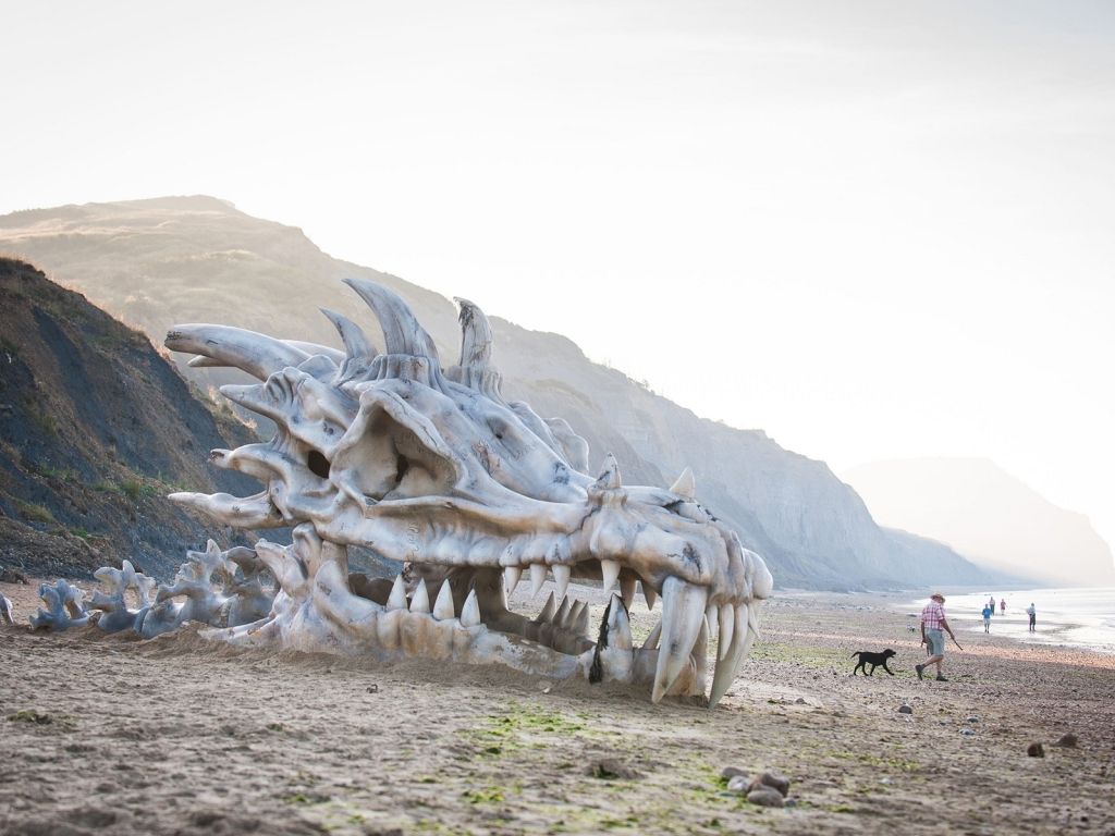 Game Of Thrones Dragon Skull On Beach wallpaper