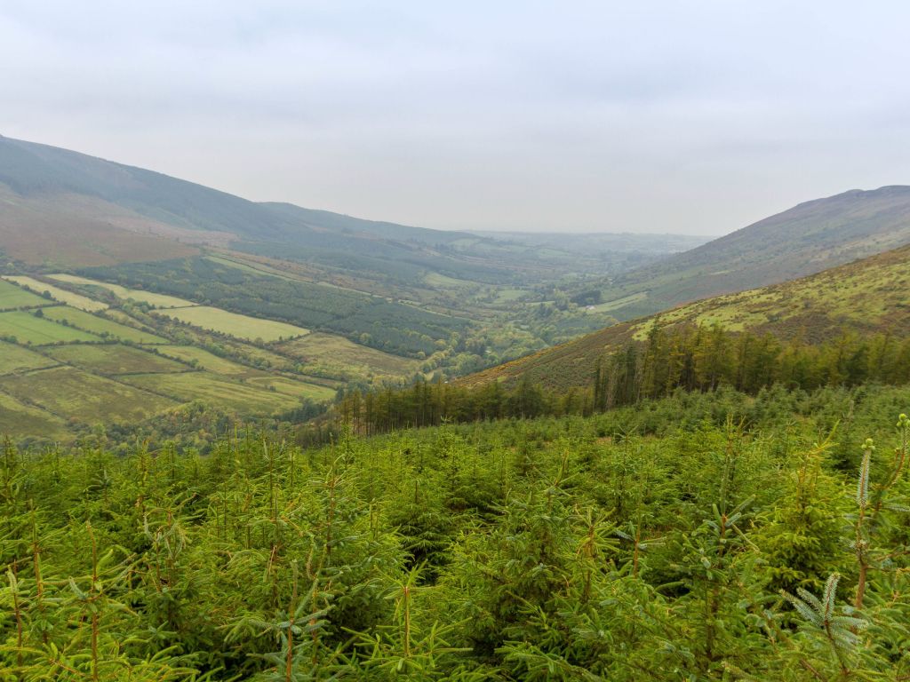 Gently Sloping Hills of Co - Tipperary Ireland wallpaper