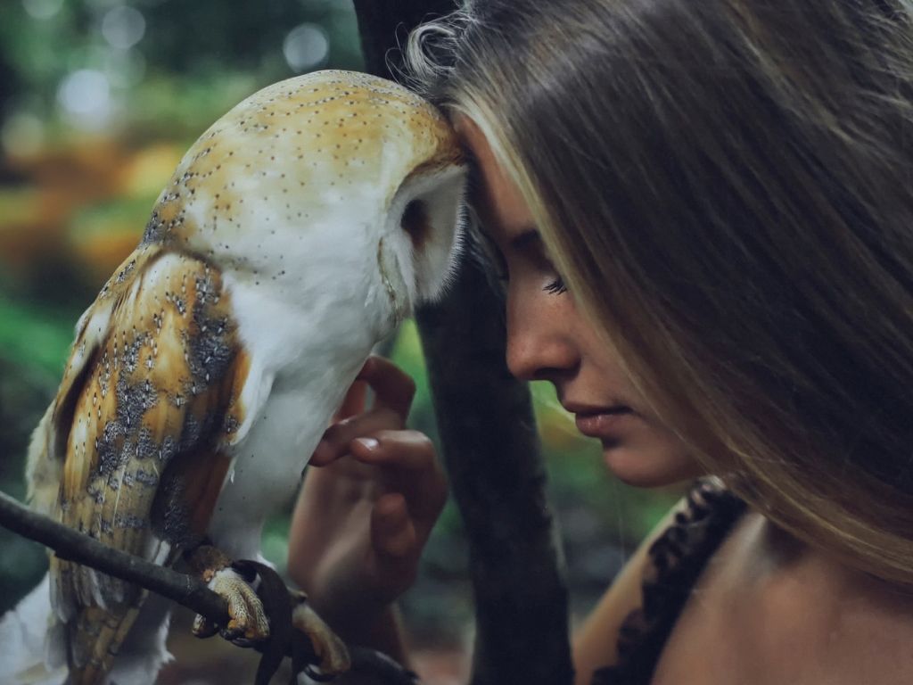 Girl and Owl wallpaper