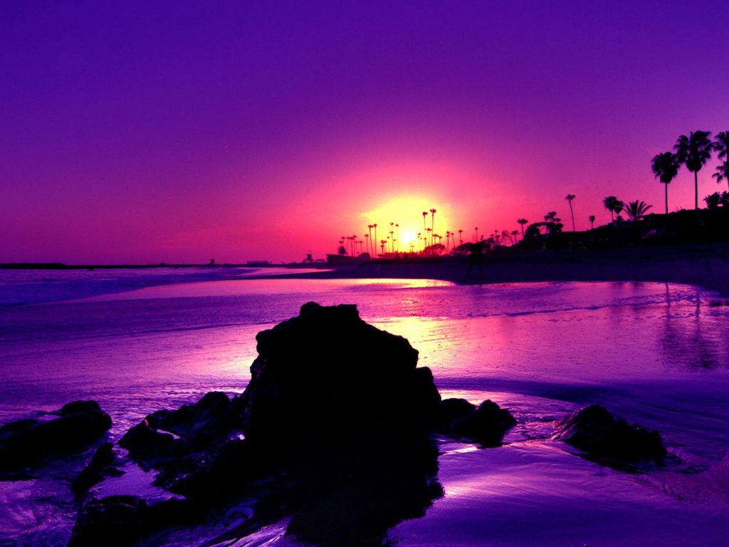 Gorgeous Purple Sunset wallpaper