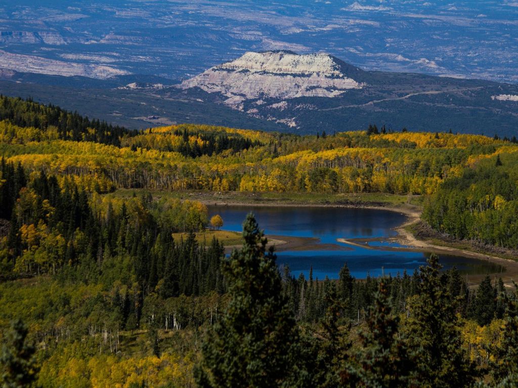 Grand Mesa National Forest CO wallpaper